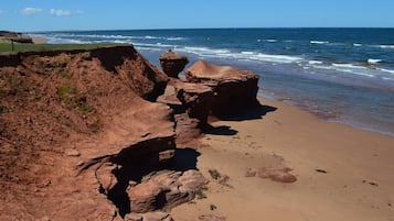 Vlak bij het strand