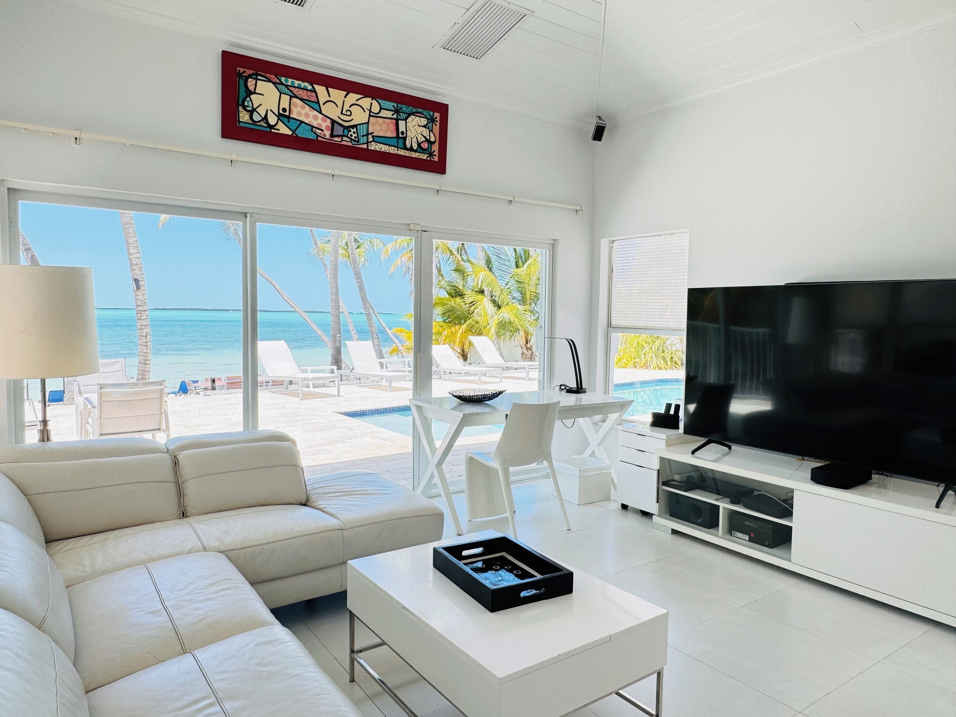 Smart TV, DVD player, books, stereo