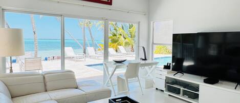 Smart TV, DVD player, books, stereo