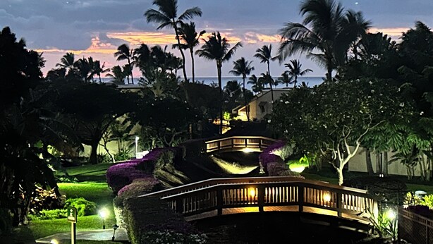 Un puente bien iluminado en un entorno de resort tropical, con palmeras y vistas al océano al atardecer.