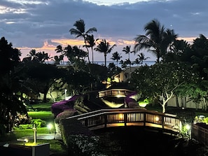 Un pont bien éclairé, situé dans un complexe hôtelier tropical, agrémenté de palmiers et offrant une vue sur l’océan au crépuscule.