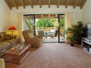 TV, libri, impianto stereo