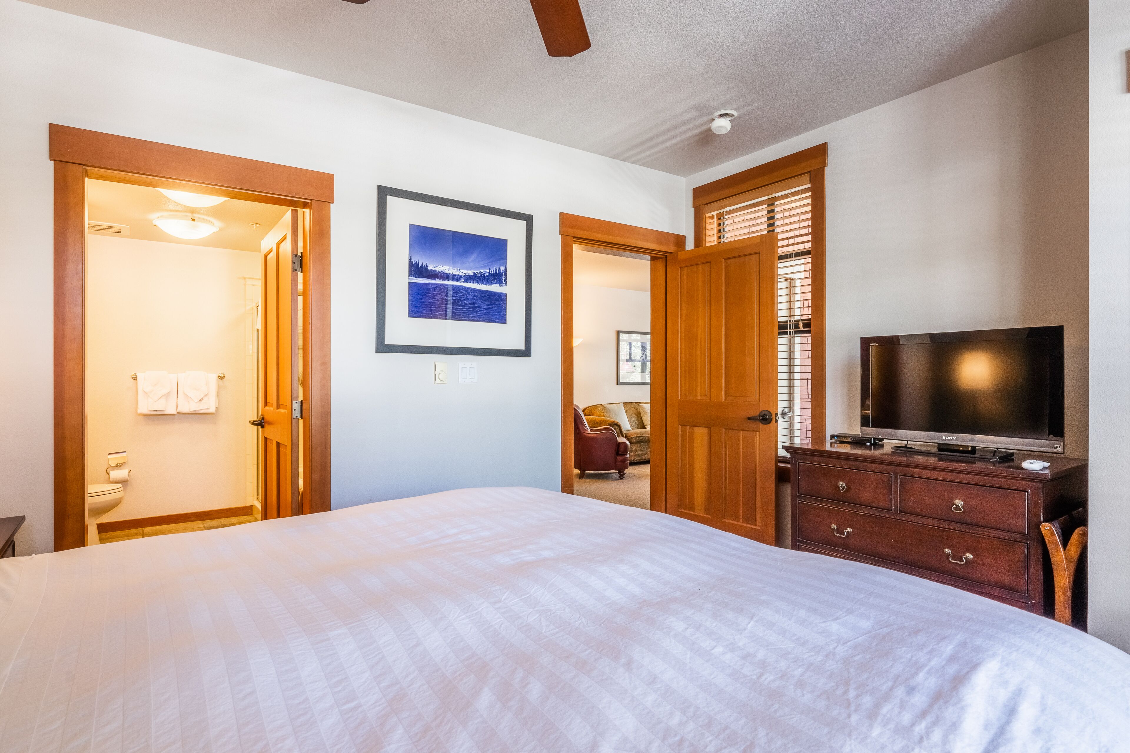 A bedroom with a large bed, a dresser, a television, and a framed picture on the wall.