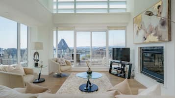 TV, fireplace, DVD player, music library