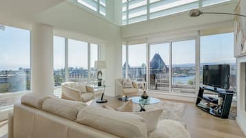 电视、壁炉、DVD 播放器、音乐库