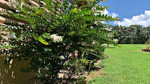 A garden with a variety of flowering plants and a wooden fence.
