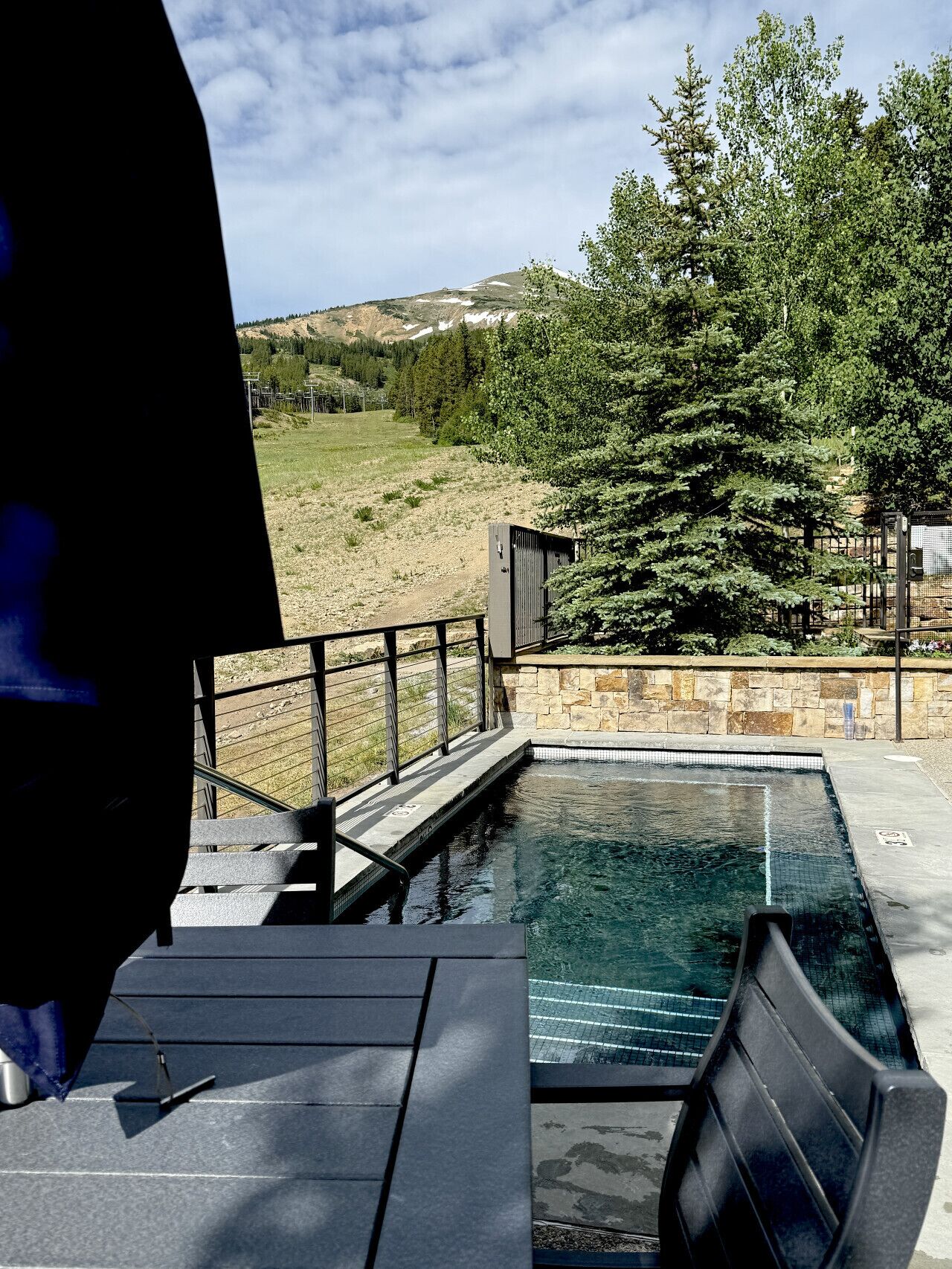 A swimming pool with a stone wall and metal railing, surrounded by a grassy area and trees.