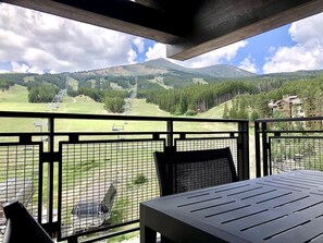 Outdoor dining - Luxury Ski-in/Ski-out residence (Breckenridge)