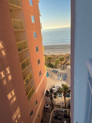 Property grounds - Cozy King Studio – right on the Beach, Sleeps 4 (North Myrtle Beach)