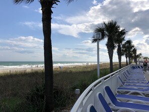 Property grounds - Cozy King Studio – right on the Beach, Sleeps 4 (North Myrtle Beach)