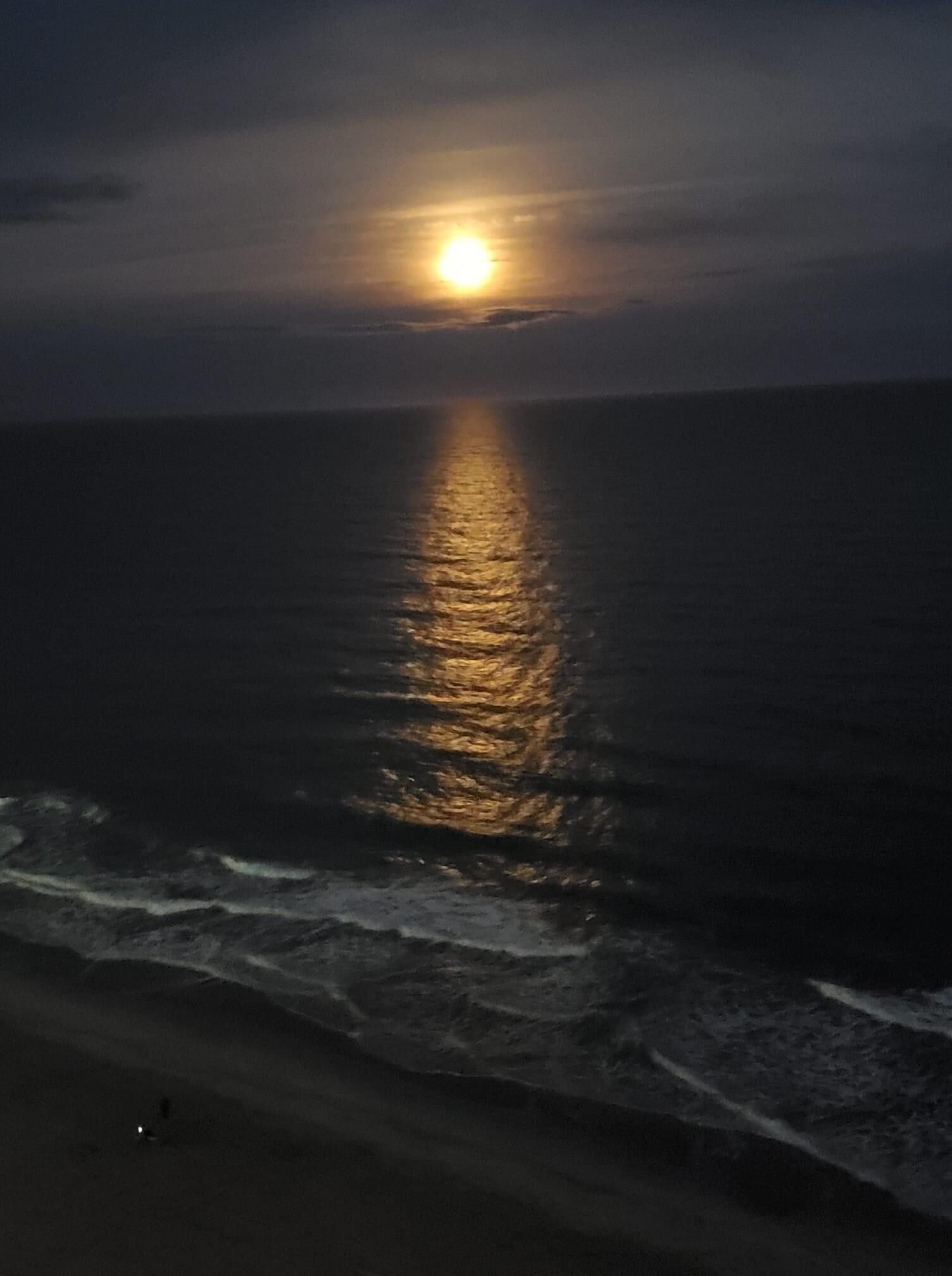 on the beach, sun-loungers, beach towels, beach bar
