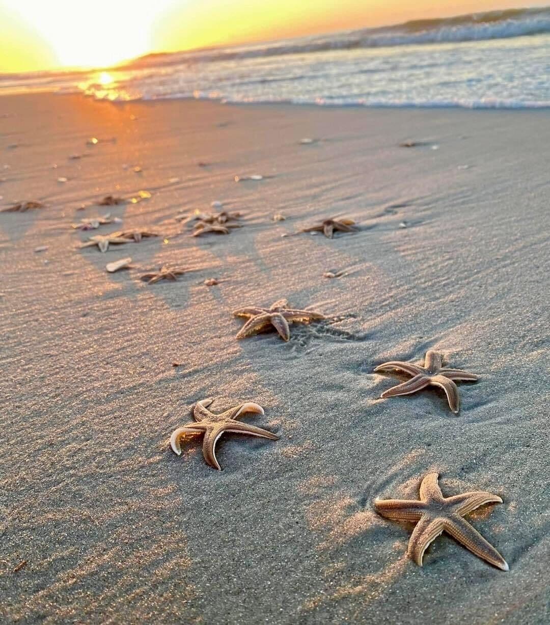 On the beach, sun-loungers, beach towels, beach bar