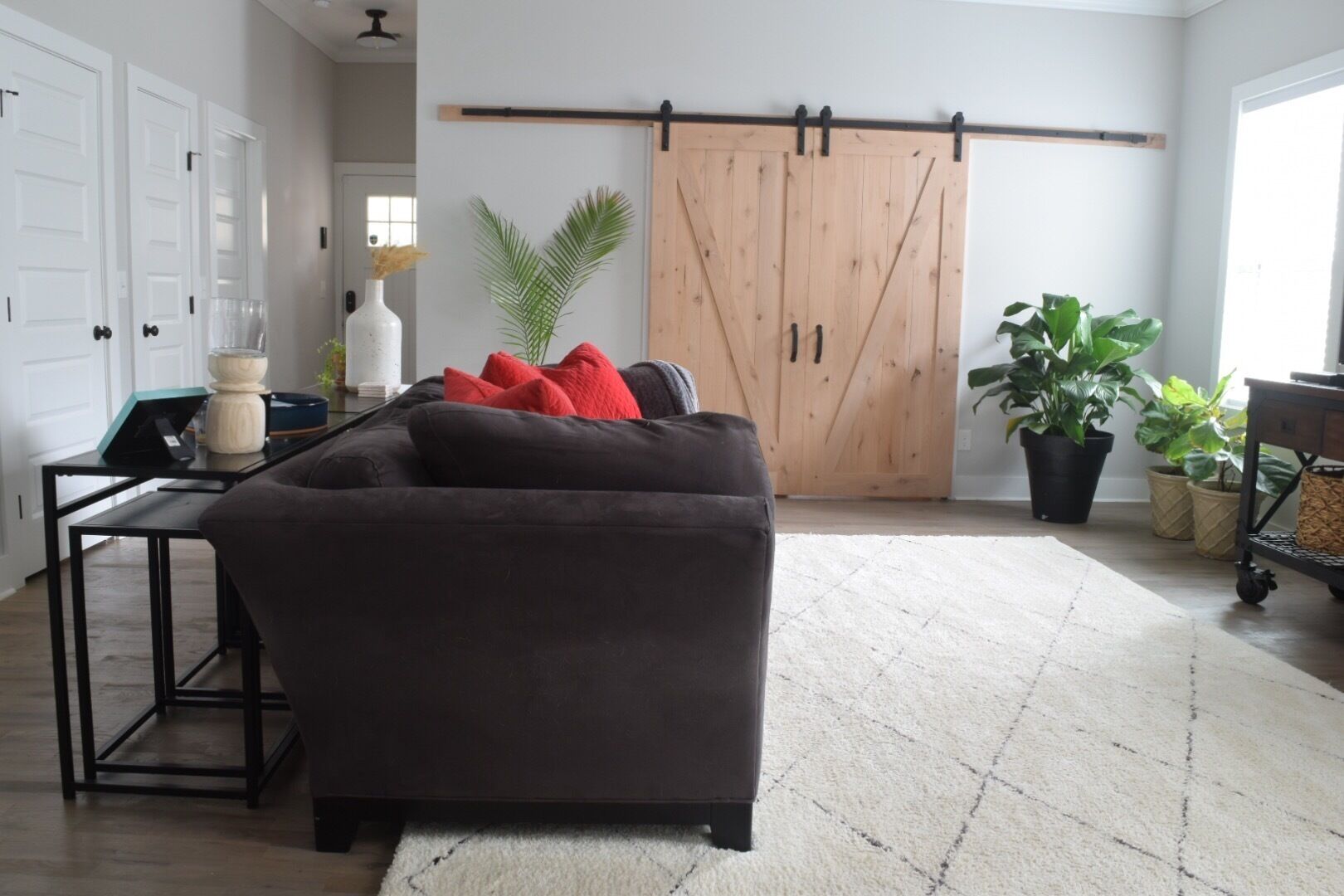 A living room with a dark sofa, a wooden sliding door, a white door, a small table with a lamp, and a potted plant.