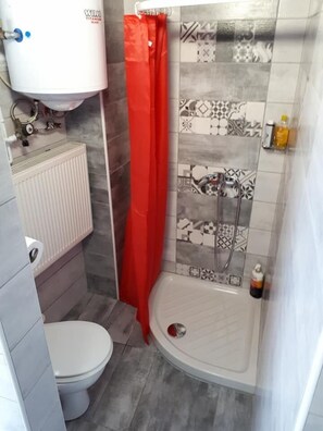 Luxury House, City View | Bathroom | Shower, free toiletries, hair dryer, bidet