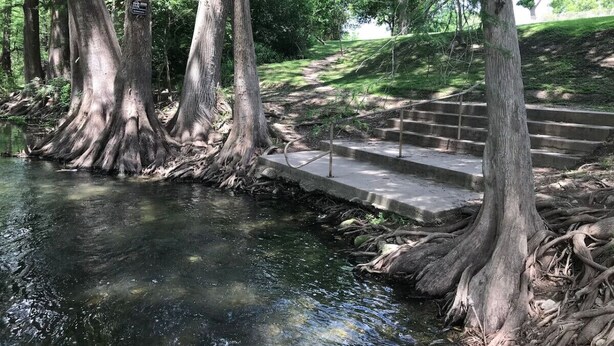 Un camino de hormigón que lleva a un pequeño puente sobre un arroyo tranquilo, rodeado de grandes árboles con raíces expuestas.