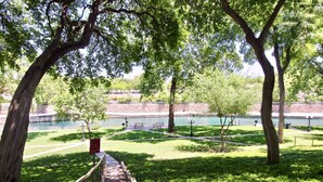 Ein Park mit einem Weg, der zu einem Gewässer führt, umgeben von Bäumen und Bänken.