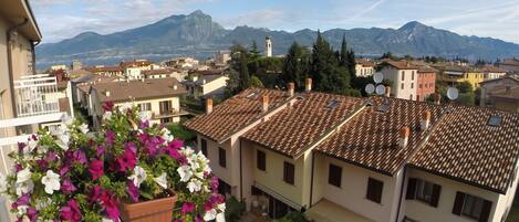 A residential area with terracotta-tiled roofs, a balcony with hanging flowers, and a mountainous backdrop.