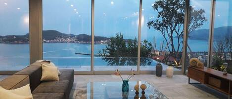 TV, Netflix, DVD player, books