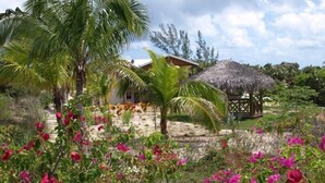 A tropical setting with a house, palm trees, and a thatched-roof structure. - Monticello, Desert Rose beachfront cottage,Tiki Hut & Generator,10% Off 7+nights (governors harbour)