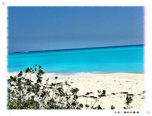 Serviettes de plage