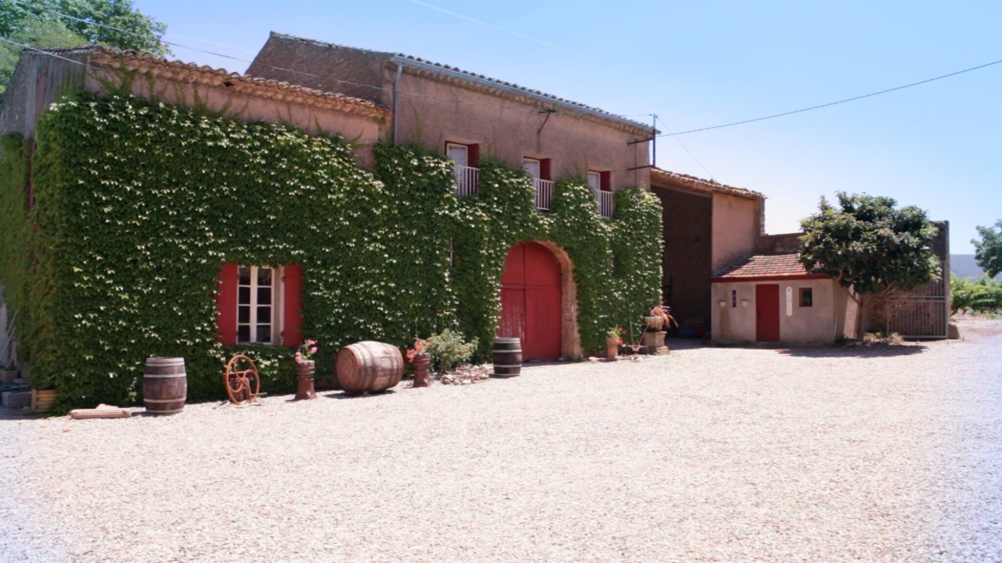 A building with a red door and windows, covered in ivy, and surrounded by barrels and potted plants.