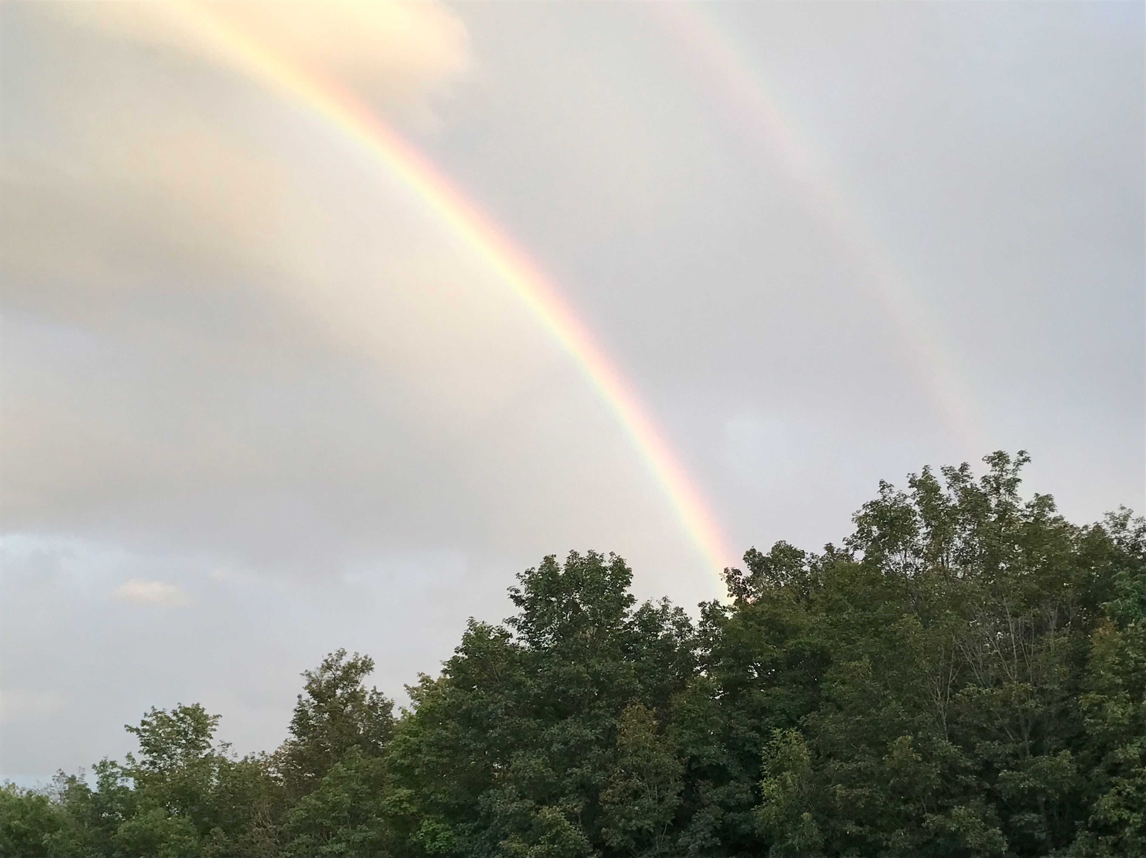 Eine natürliche Landschaft mit einem Regenbogen am Himmel.