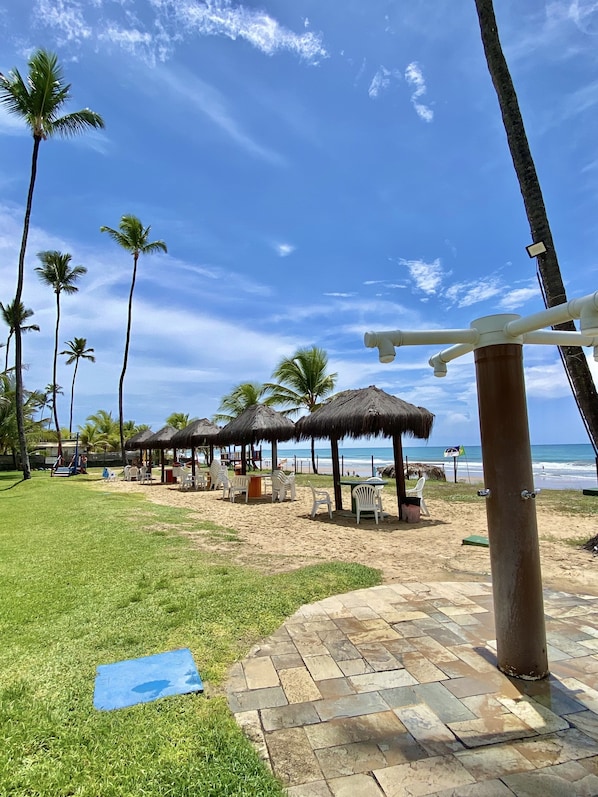 A beach area with palm trees, thatched-roof structures, and a clear view of the ocean.