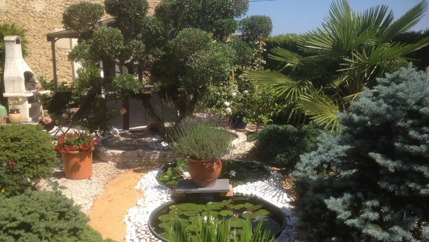 Un jardin avec différentes espèces de plantes, un mur de pierre et un petit étang parsemé de nénuphars.
