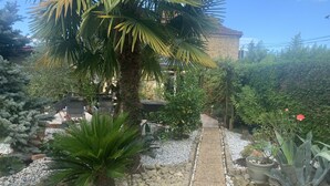 Un sentier de jardin bordé d’un palmier, d’un petit pont et de différentes plantes.