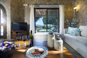 TV connectée, cheminée, lecteur de DVD, chaîne hi-fi