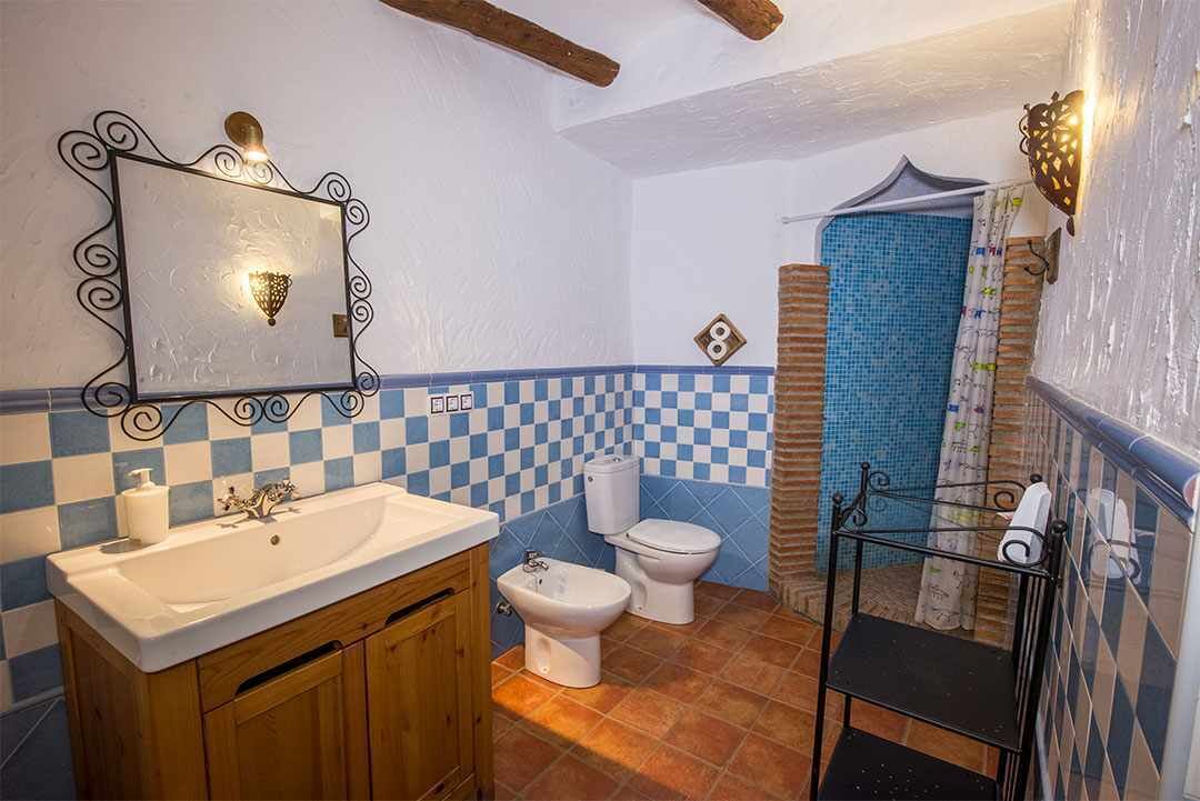 A bathroom with a checkered blue and white tile wall, a wooden vanity with a sink, a bidet, and a toilet.