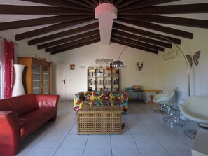 Smart TV, fireplace, DVD player, books