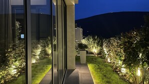 Een modern gebouw met grote glasramen, een geplaveid pad en goed verlichte buitenplanten.