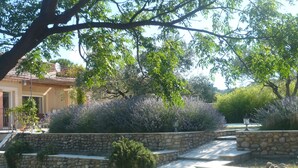 A stone pathway leading to a house surrounded by lush greenery and lavender bushes. - House / Villa - Visan (Visan)
