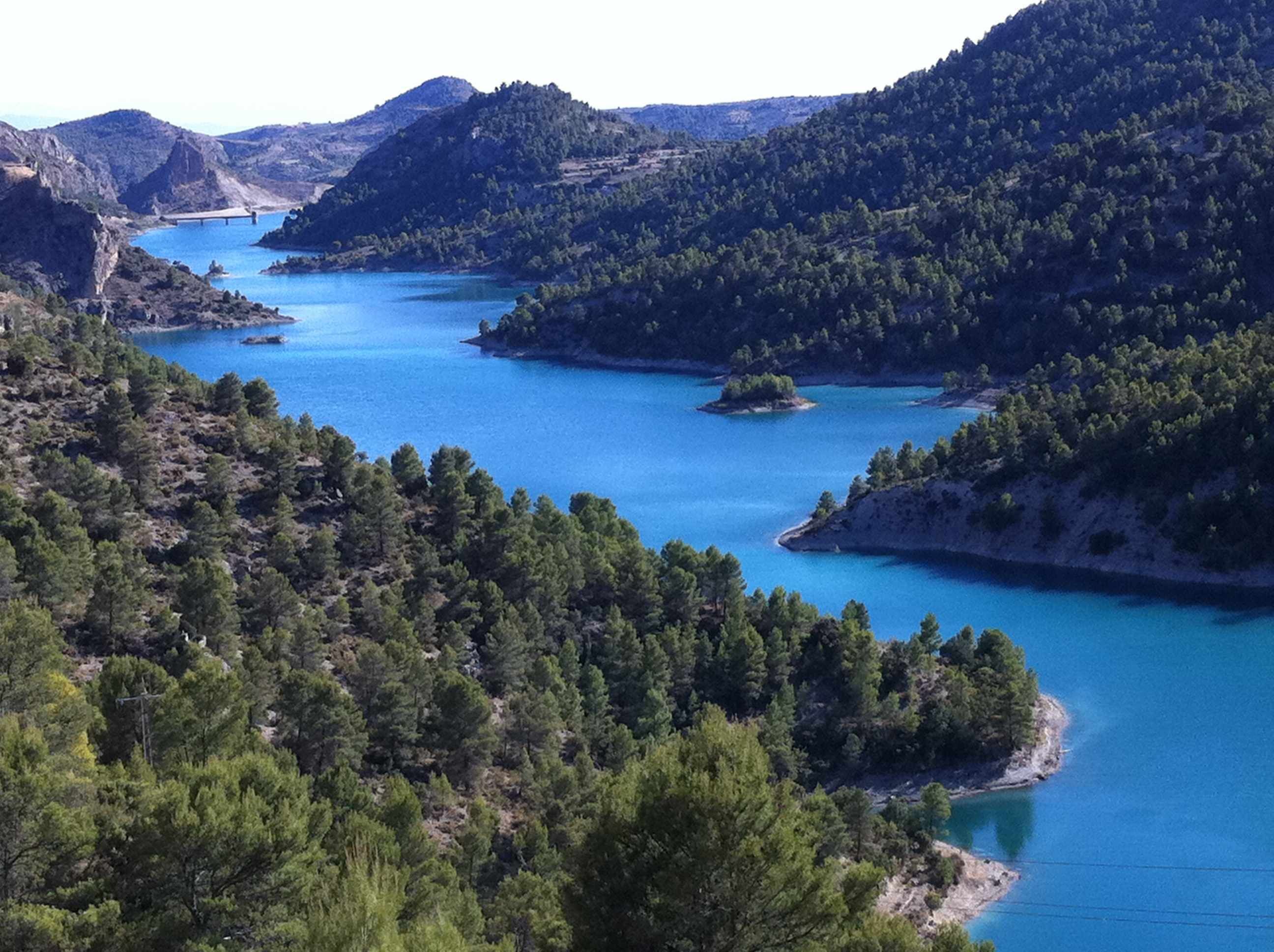 Un paisaje costero con un puente, bosques densos y aguas azul cristalino.