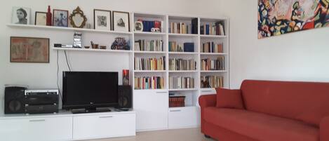 電視、DVD 播放機、書籍、音樂庫