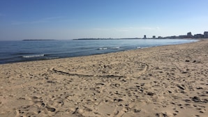 Una playa arenosa con huellas y un mar tranquilo.