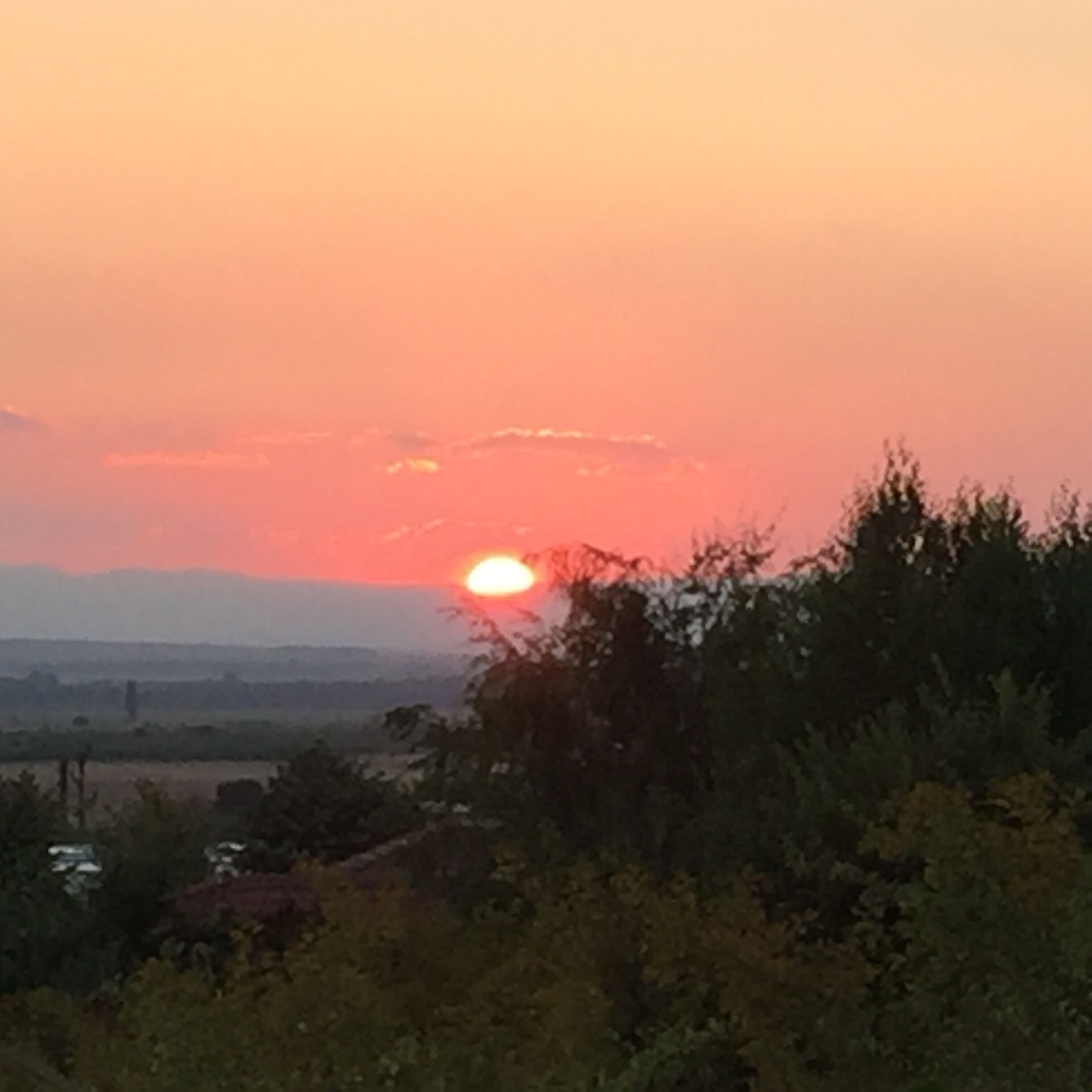 Un coucher de soleil sur un paysage composé d’arbres et de collines lointaines.