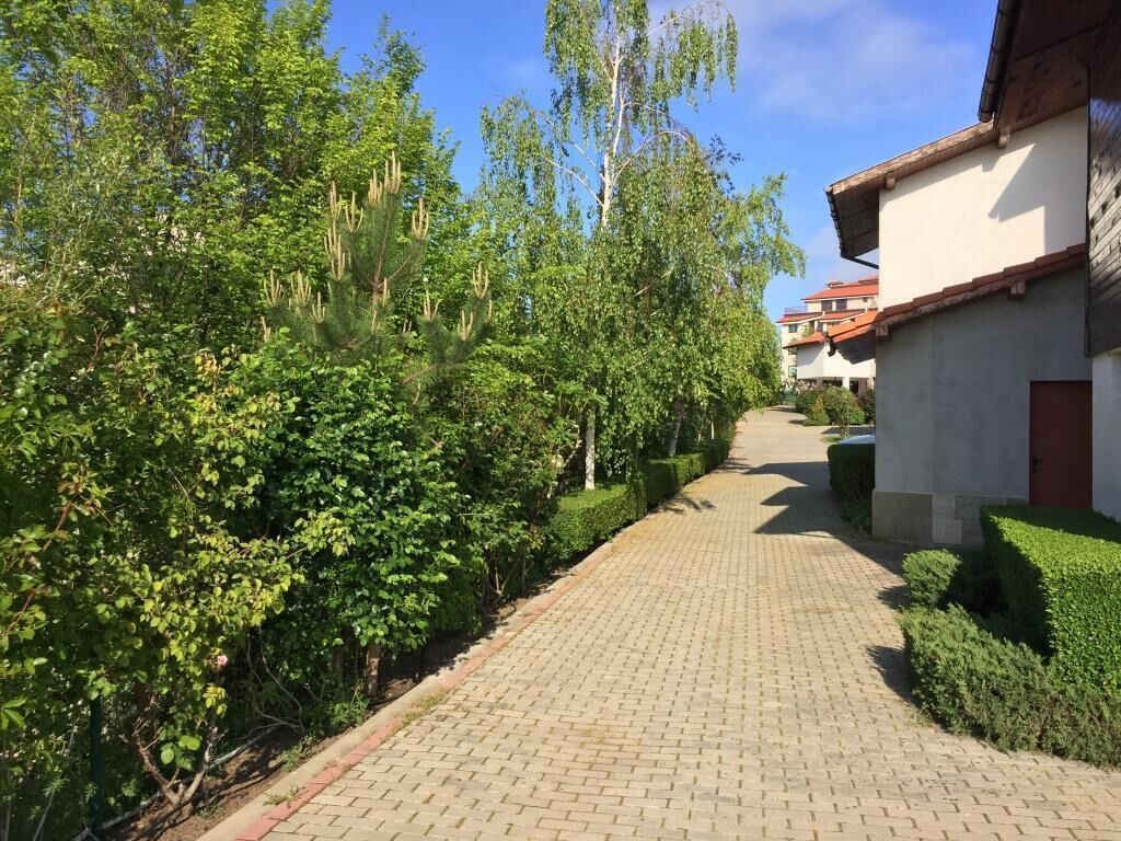 Ein gepflasterter Weg, gesäumt von üppiger Vegetation und Gebäuden mit roten Ziegeldächern.