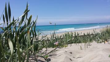 Beach nearby, sun-loungers, beach towels