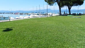 Une zone herbeuse avec un grand arbre et un port de plaisance où sont amarrés des bateaux.