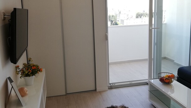 Un salón moderno con un televisor de pantalla plana, una planta en maceta, un tapete mullido y una puerta de cristal que da a un balcón.
