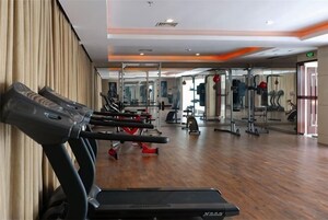 Gimnasio