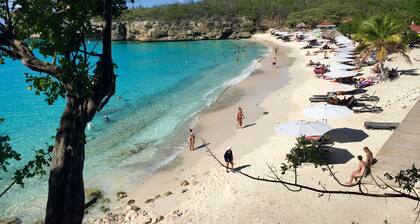 Coral Cliff: a TOP location! Directly by the sea. Max. 4 pers.