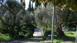 A paved driveway leading to a gated entrance surrounded by dense foliage and trees. - APARTMENT FOR 6 PERSONS AT THE CENTER OF BARBATI, 50 METERS FROM THE BEACH (Corfu)