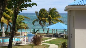 Une propriété située en bord de mer, dotée d’une piscine, de palmiers et d’un kiosque.