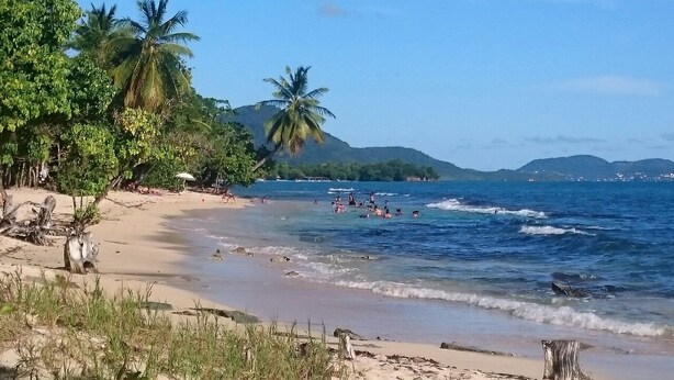 Une plage bordée de palmiers, avec une eau d’un bleu limpide et des collines qui se dessinent à l’horizon.