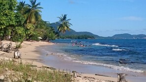 Una platja amb palmeres, aigua turquesa i turons allunyats.