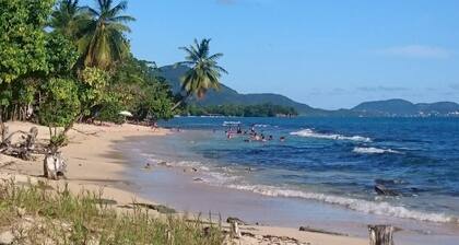 Comfortable family home on a white sandy beach. Ste Luce Martinique