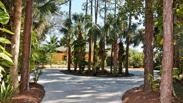 House, Multiple Beds (JUPITER * POOL*TIKI HUT*3 WATERFALLS*) | Property entrance